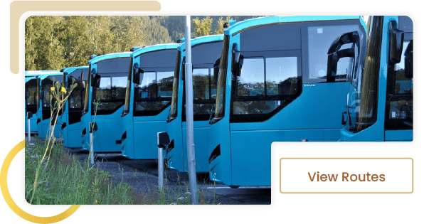 about-bus